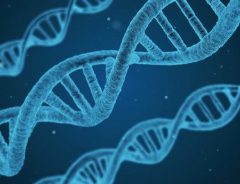 Базы данных ДНК: на пути к служению, а не к рабству