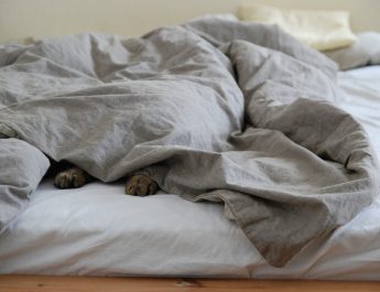 7 видов лени, с которыми может столкнуться каждый