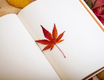 К. С. Льюис и Джон Р. Р. Толкин: 3 способа написать сказку для детей любого возраста