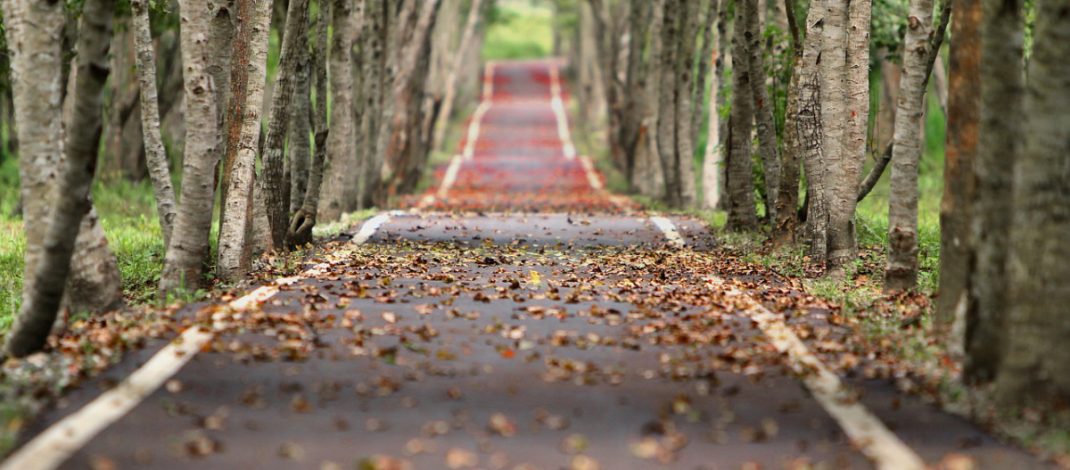 Как следовать за Христом и какие трудности нас ждут. 16 цитат