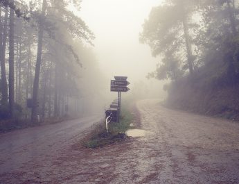 Скандал особенного: Особый выбор, который делает Бог