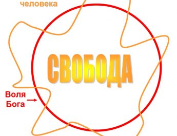Свобода и воля