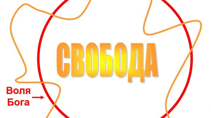 Свобода и воля