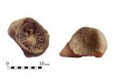 В Иерусалиме на Храмовой горе обнаружили 2000-летний глиняный жетон, которым пользовались паломники