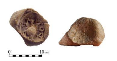 В Иерусалиме на Храмовой горе обнаружили 2000-летний глиняный жетон, которым пользовались паломники