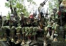 В Нигерии 350 заложников спасены от боевиков «Боко Харам»
