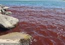 Знамение у Содома и Гоморры: на Мертвом море появилась лагуна цвета крови